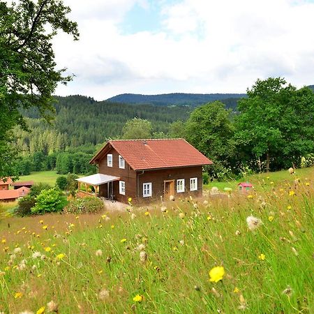 Comfort Apartment With Balcony In The Beautiful Bavarian Forest Drachselsried Exterior photo
