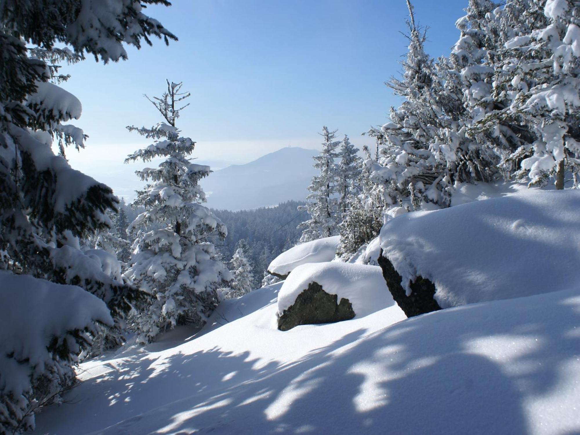 Comfort Apartment With Balcony In The Beautiful Bavarian Forest Drachselsried Exterior photo