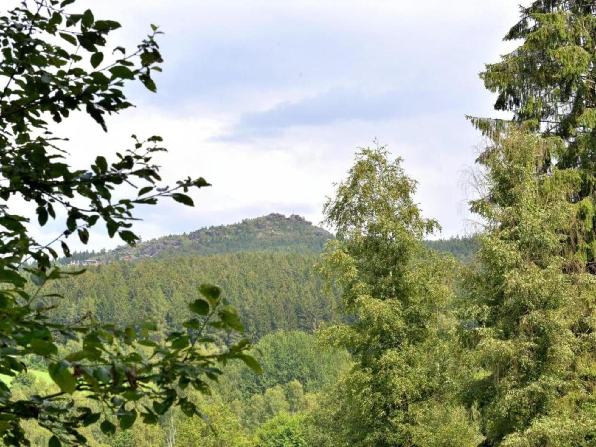 Comfort Apartment With Balcony In The Beautiful Bavarian Forest Drachselsried Exterior photo