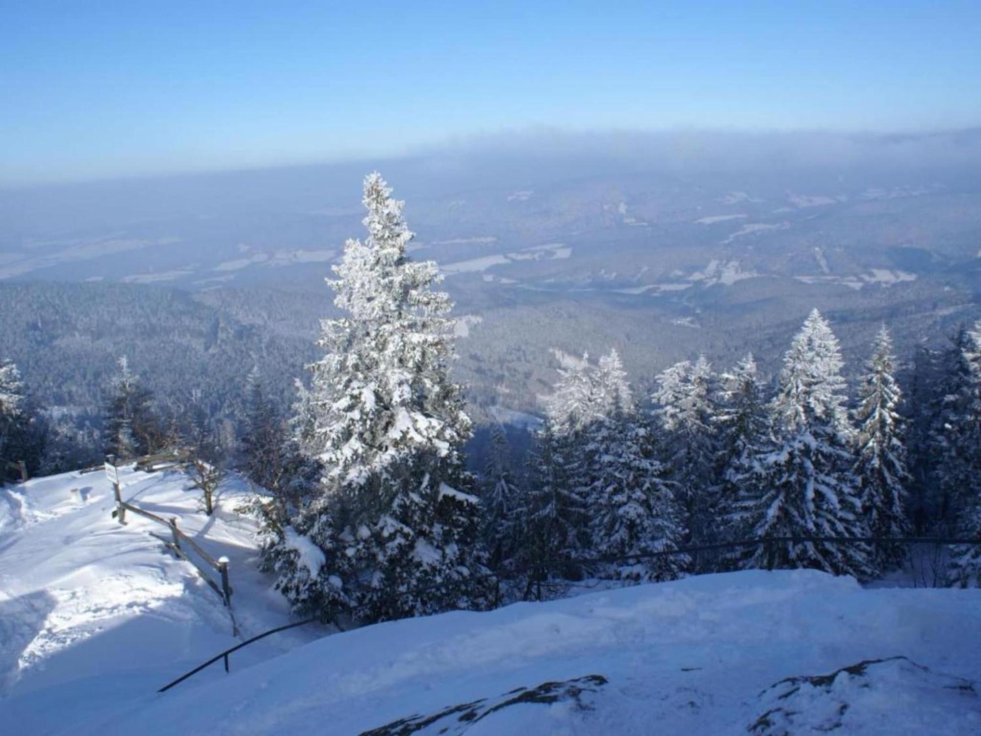 Comfort Apartment With Balcony In The Beautiful Bavarian Forest Drachselsried Exterior photo