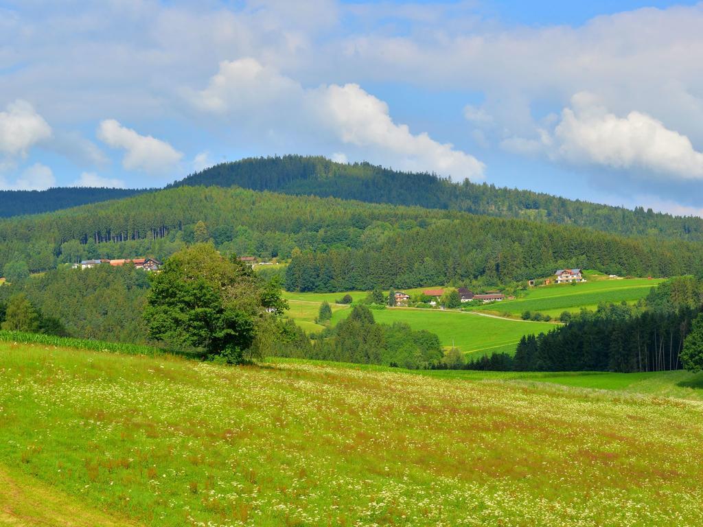 Comfort Apartment With Balcony In The Beautiful Bavarian Forest Drachselsried Exterior photo